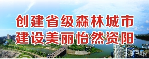 日本透板b全部黄色一级大片免费直播一创建省级森林城市 建设美丽怡然资阳